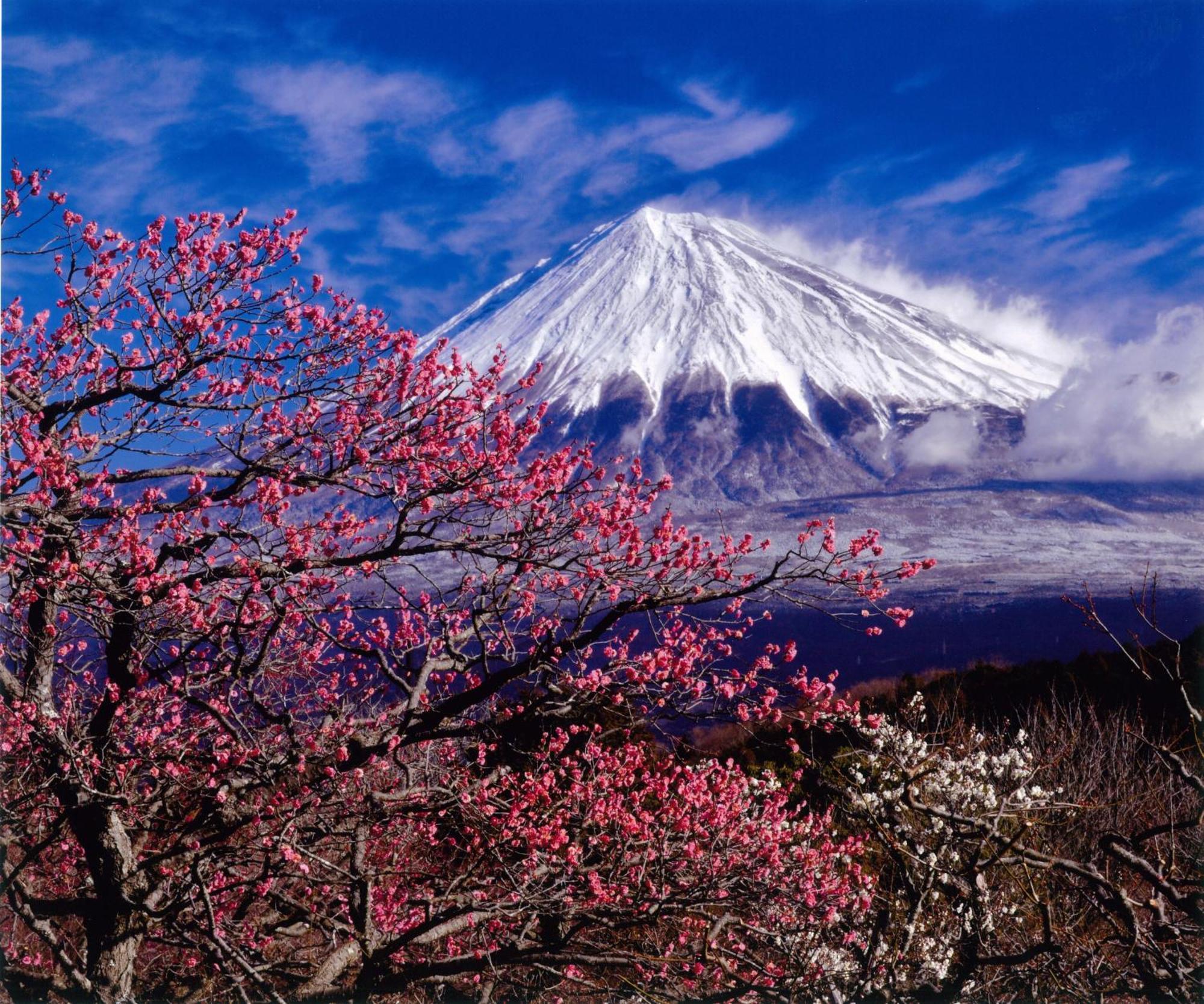 Kyukamura Fuji 富士宫市 外观 照片